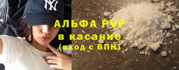 сатива Володарск
